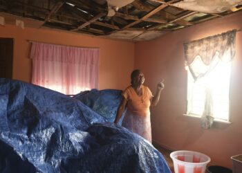 Jamaica's female farmers rebuild after Hurricane Beryl through women-led cash voucher program