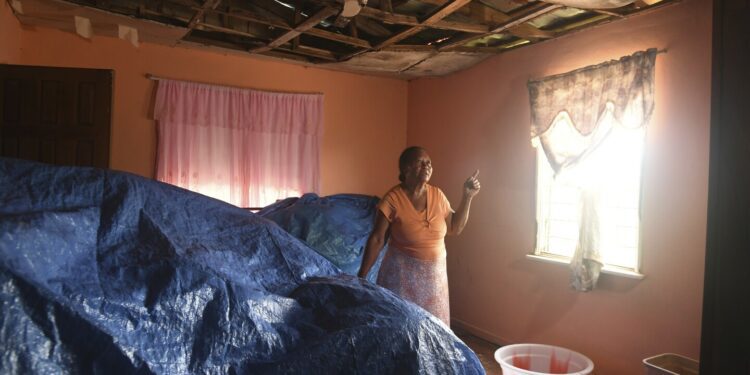 Jamaica's female farmers rebuild after Hurricane Beryl through women-led cash voucher program