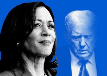 Kamala Harris will beat Donald Trump to the White House, Telegraph poll predicts