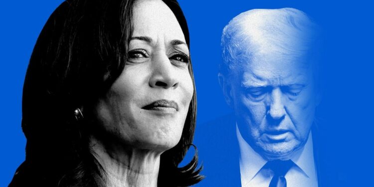 Kamala Harris will beat Donald Trump to the White House, Telegraph poll predicts