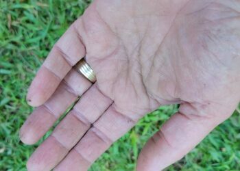 Labor Day Thoughts - eagletimes.com