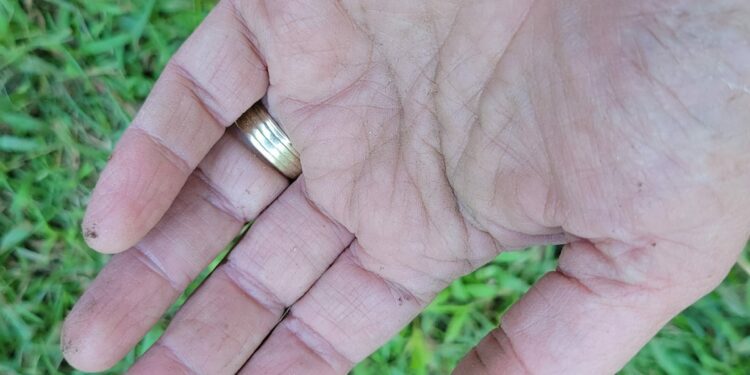 Labor Day Thoughts - eagletimes.com