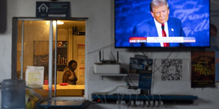 Little Haiti VH1 star: Trump’s comments about immigrants eating pets 'hurt a part of my heart'