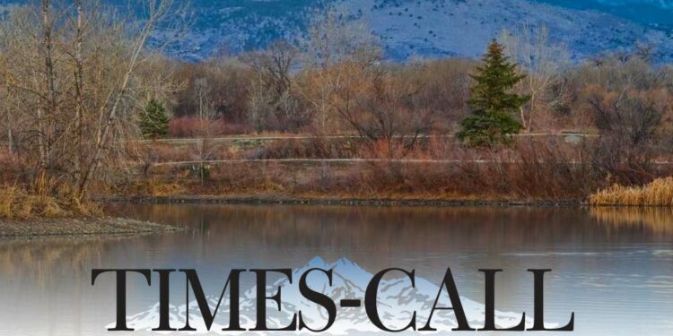 Ralph Josephsohn: The great camel/goat debate