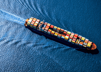 Mexico still closed to chicken imports from Brazil