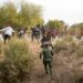 A group of migrants is apprehended by Yuma Sector Border Patrol. (File photo by Jerry Glaser/Customs and Border Patrol)