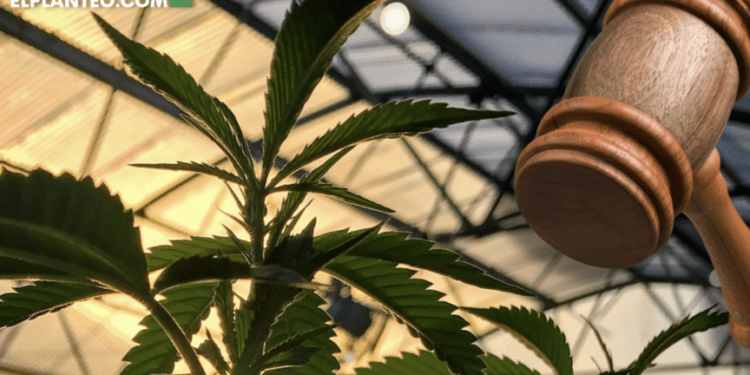 Multi-Million Dollar Cannabis Facility Auctioned For The Price Of A Studio Apartment: What's Going On In Uruguay?