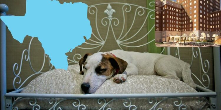 New List Ranks Best Hotels In The USA-Texas Has 20, 1 In El Paso