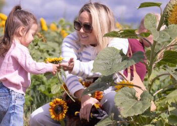 News from around the Canton region