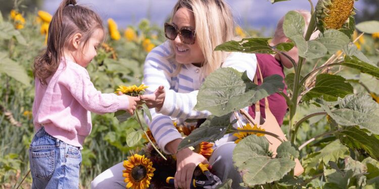 News from around the Canton region