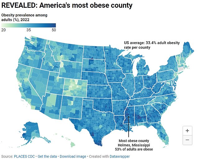 The above map shows obesity rate by county in the US (DailyMail.com created map)