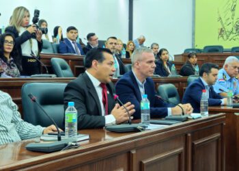 Paraguay seeks firms to oversee US$100mn power grid work