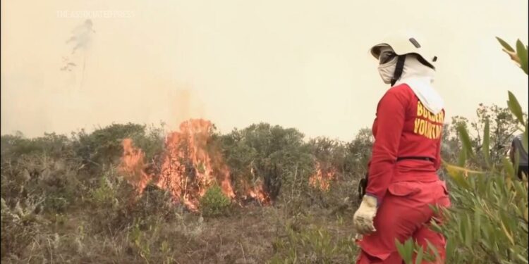 Peru wildfires were started by human activity, prime minister says
