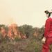 Peru wildfires were started by human activity, prime minister says