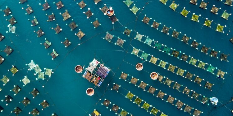 Photo story — inside the celebration of Inti Raymi, Ecuador’s ancient Festival of the Sun