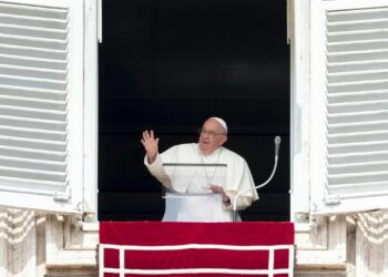 Pope denounces slaying of Honduran environmental defender