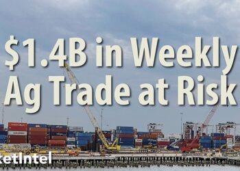 Port Strike Could Sink Access to Foreign Markets | Market Intel