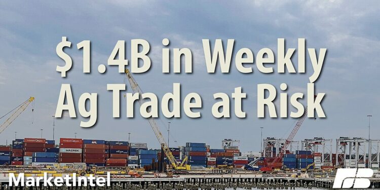 Port Strike Could Sink Access to Foreign Markets | Market Intel