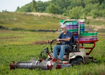 Preserving the past to pave the way for the future