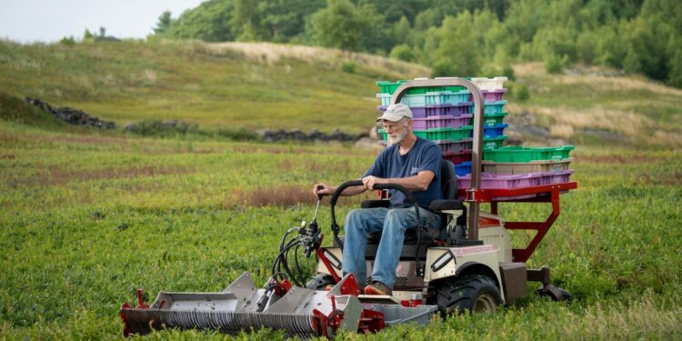 Preserving the past to pave the way for the future