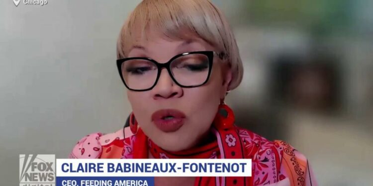 Problem of hunger is widespread throughout the United States, says CEO of Feeding America