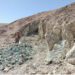 Radius Gold enters copper porphyry project in Peru