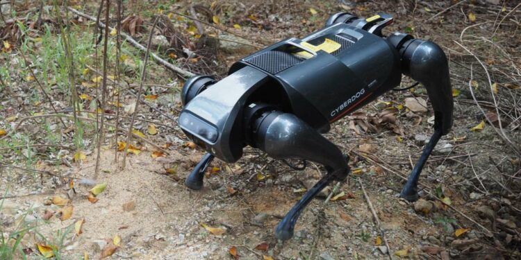Researchers develop robot dog to combat highly invasive species wreaking havoc across the globe: 'A serious threat'