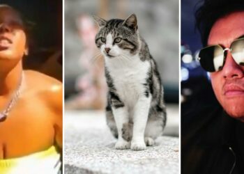 Right Blame Haitian Immigrants For Eating People's Pets