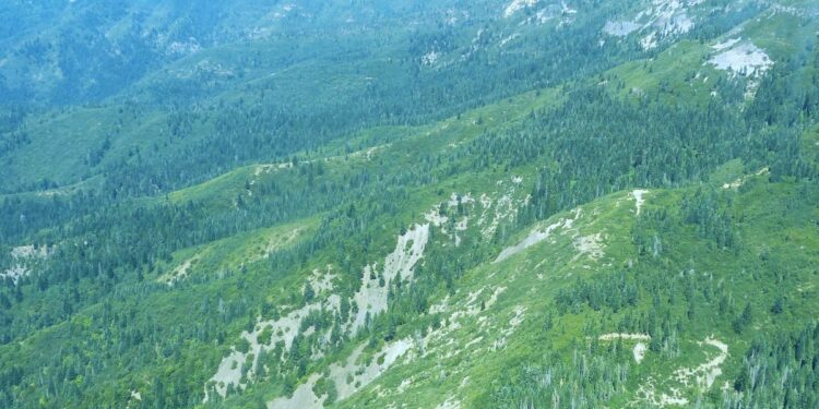 Siskiyou could be home to next California national monument