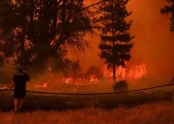South America goes past 2007 blaze record – Firstpost