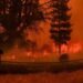 South America goes past 2007 blaze record – Firstpost
