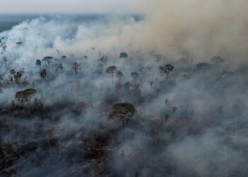 An aerial photos shows a wildfire burning through a jungle in the Amazon.