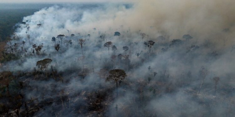 An aerial photos shows a wildfire burning through a jungle in the Amazon.