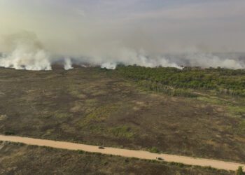 South America is seeing a record number of wildfires