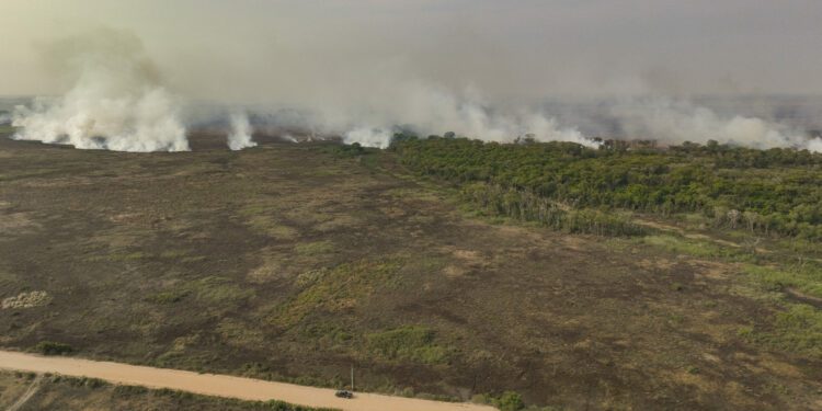 South America is seeing a record number of wildfires