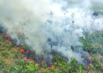 This picture taken earlier this week shows a drone view of smoke rising from a forest fire in the Amazon in an area of the Trans-Amazonian Highway BR230 in Labrea, Amazonas state, Brazil. – Reuters