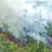 This picture taken earlier this week shows a drone view of smoke rising from a forest fire in the Amazon in an area of the Trans-Amazonian Highway BR230 in Labrea, Amazonas state, Brazil. – Reuters