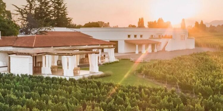 Southern Charm: Wine Cocktails From Argentina (Conclusion)