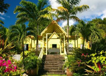 St Kitts and Nevis media guide