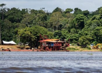 Suriname Seeks Financial Rewards Through Carbon Credit Program