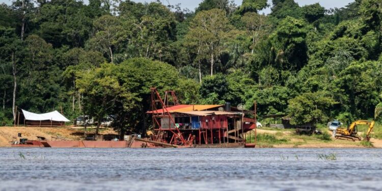 Suriname Seeks Financial Rewards Through Carbon Credit Program