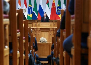 The Battle for the BRICS