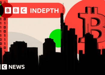BBC InDepth