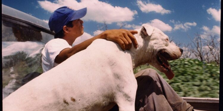 The Match Factory, Planta Board Lisandro Alonso's 'La libertad doble'
