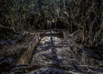 The Search for the Lost Colony of Roanoke