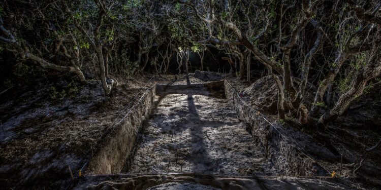 The Search for the Lost Colony of Roanoke