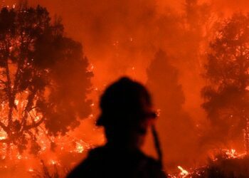 The Southern California Wildfire Paradox