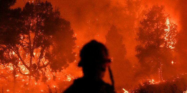 The Southern California Wildfire Paradox