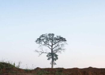 The carbon market’s quest to overcome its last big hurdle