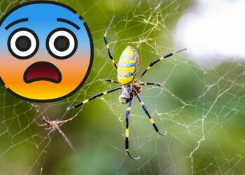 The dire prediction for NJ this summer that never came true